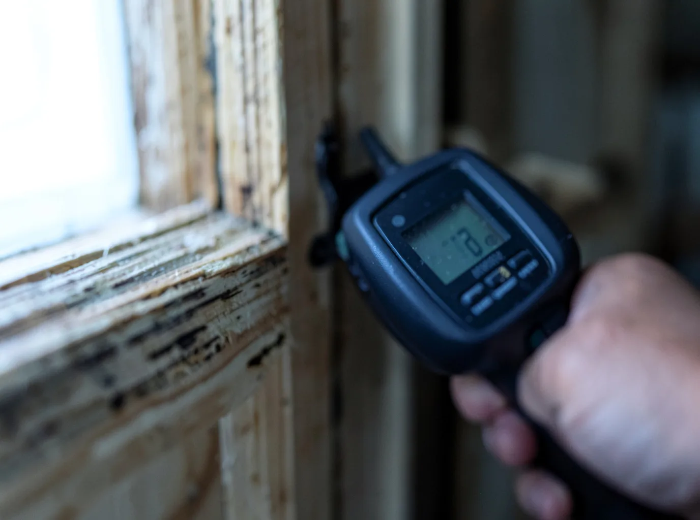 Moisture Inspection And Documentation in Raleigh, IL